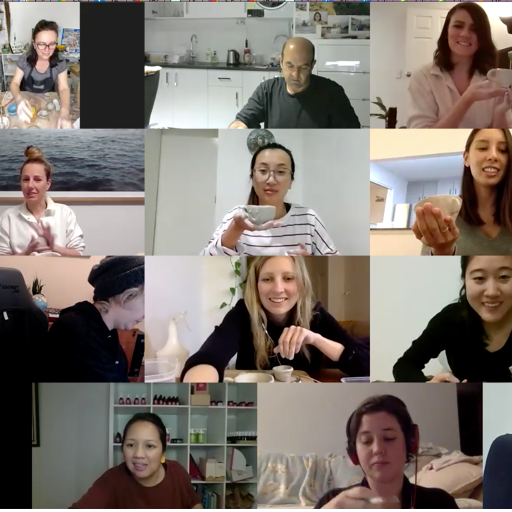 Clay Kit with Video Class Clay Handbuilding Glaze Galleria