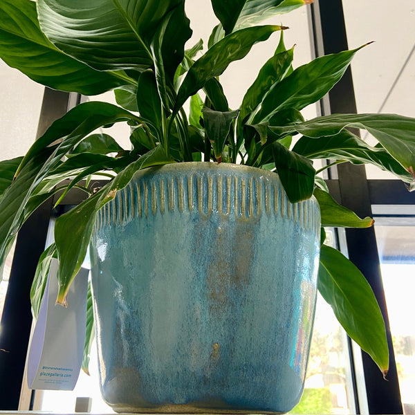 Planter - large