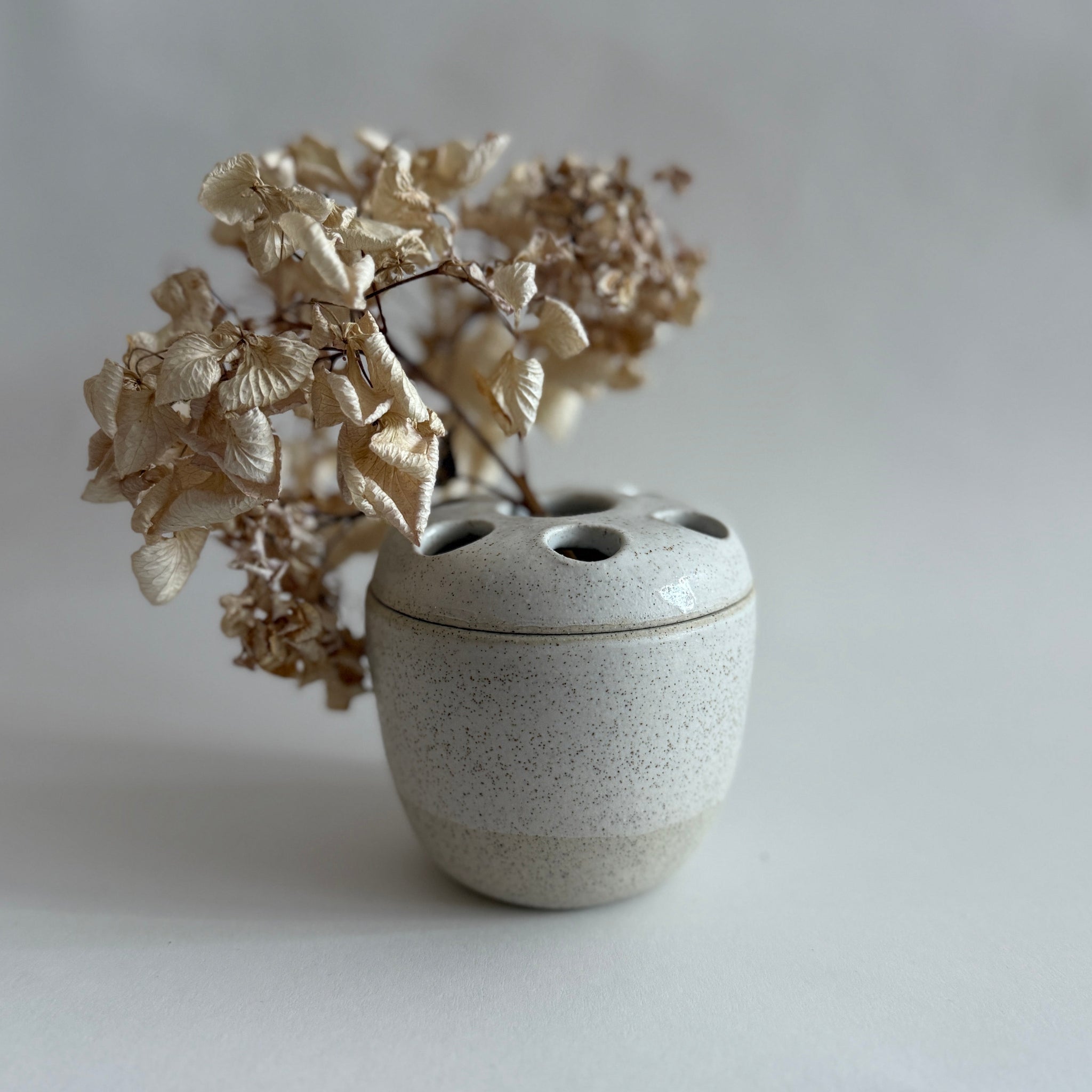 Lidded Small ceramic pot with a lid and dried flowers on a plain background