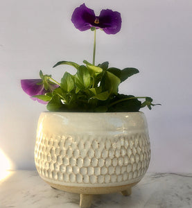 Footed Planter